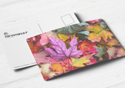 Postal Card