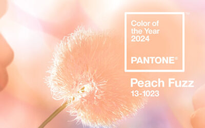 PANTONE Color of 2024